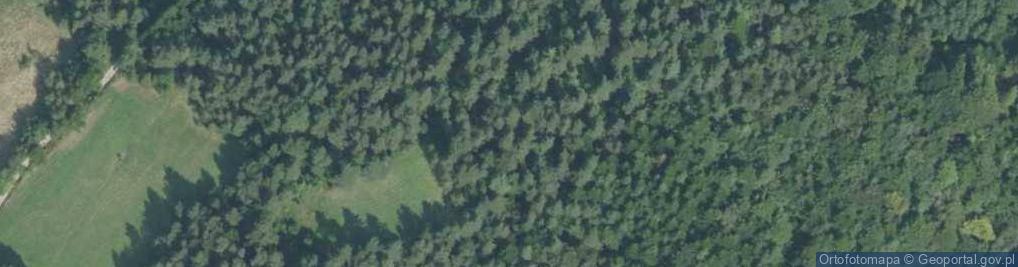 Zdjęcie satelitarne Pasmo Łososińskie BW 38-2