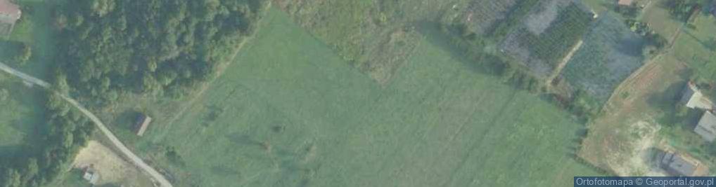 Zdjęcie satelitarne Pawlikowice1