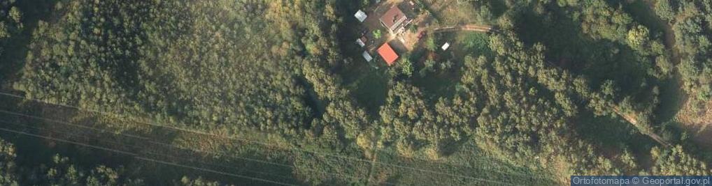 Zdjęcie satelitarne Piecki Jezuickie - akwen przez drzewa