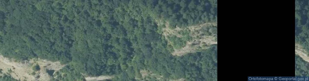 Zdjęcie satelitarne Pieniny z Palenicy a1