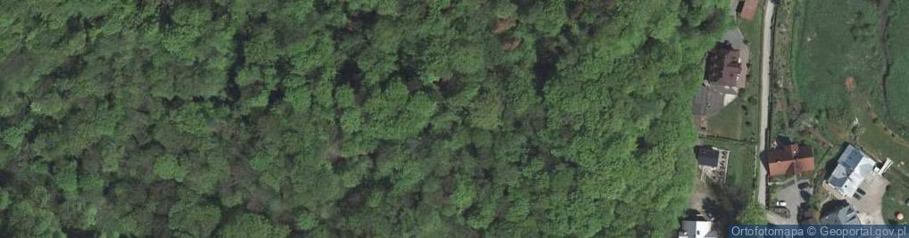 Zdjęcie satelitarne Pieskowa Skała Ogród 01