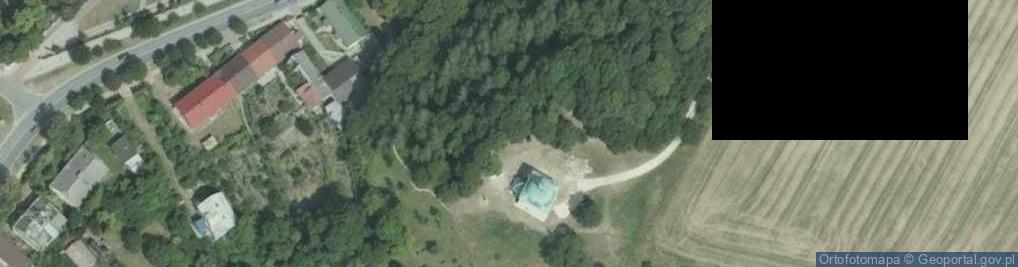 Zdjęcie satelitarne Pinczow chapel 20060722 1437