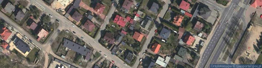 Zdjęcie satelitarne Pinus mugo nothosubsp. rotundata tree 02