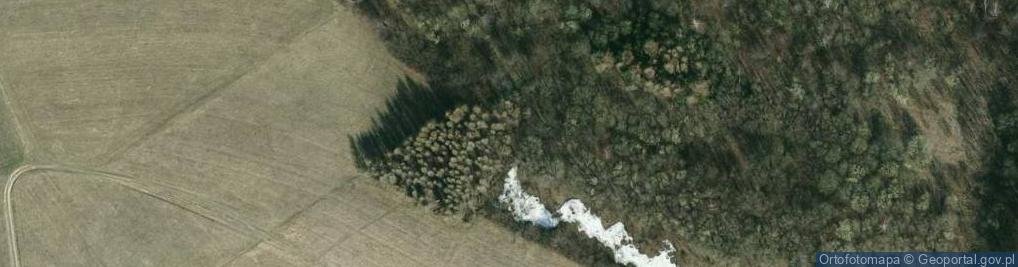 Zdjęcie satelitarne PL - Grzywacka Gora - Kroton 002