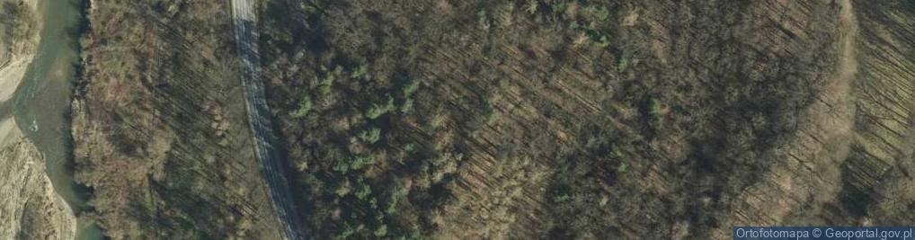 Zdjęcie satelitarne PL - Nature reserve Skamieniale Miasto - Kroton 006