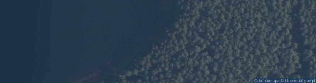 Zdjęcie satelitarne PNBT Gacno Wielkie z lobelią jeziorną 03.07.10 p