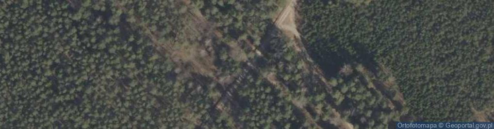 Zdjęcie satelitarne Podlaskie - Czarna Bialostocka - Knyszyn Forest - rt. Studzianki via Ozynnik - KFNGR xing - NW