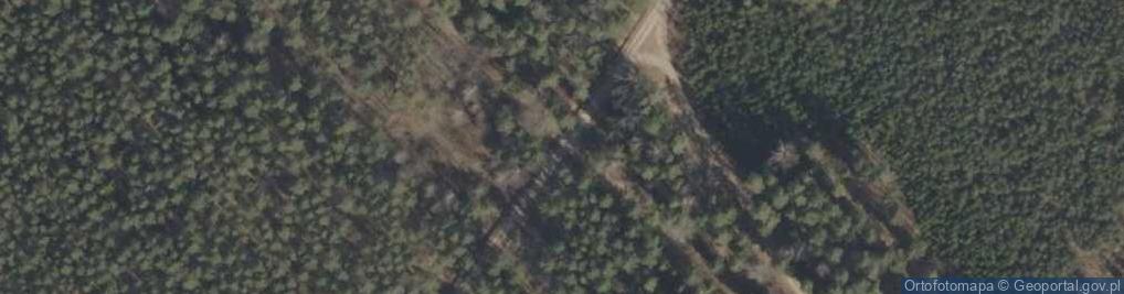 Zdjęcie satelitarne Podlaskie - Czarna Bialostocka - Knyszyn Forest - rt. Studzianki via Ozynnik - KFNGR xing - SE