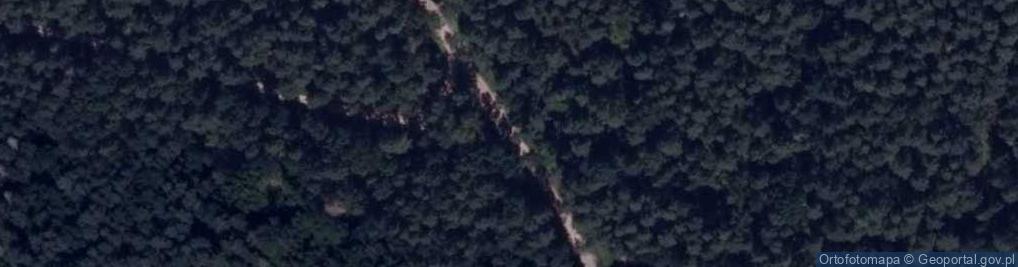 Zdjęcie satelitarne Podlaskie - Czarna Białostocka - Puszcza Knyszyńska - Rezerwat Taboły - Pomnik powstańców