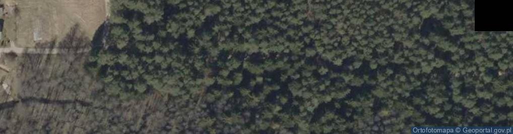 Zdjęcie satelitarne Podlaskie - Dobrzyniewo Duze - rezerwat Kulikówka - borowka czerwona