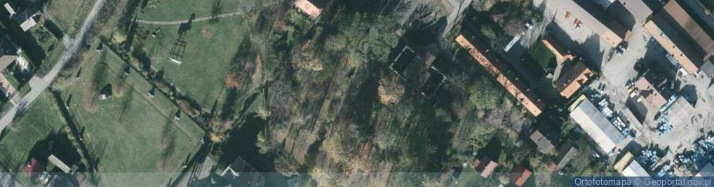 Zdjęcie satelitarne POL Górki Wielkie Pomnik ZKS w parku przy dworze