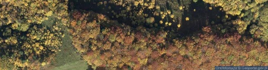 Zdjęcie satelitarne POL Kleczany kamieniolom na zboczu Bialowodzkiej Gory (Rozdziele)