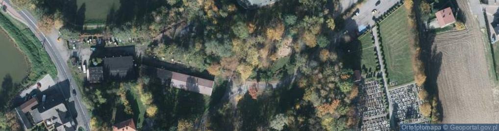 Zdjęcie satelitarne POL Kończyce Małe Zamek Front