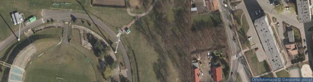 Zdjęcie satelitarne POL Polkowice, ruiny młynu