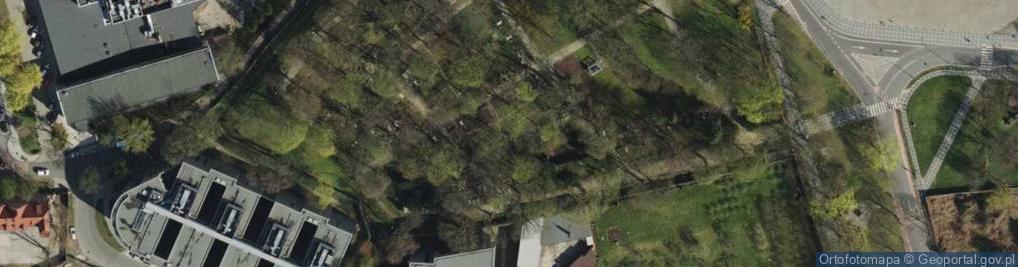 Zdjęcie satelitarne POL Poznań, kwatera Mottych na Cmentarzu Zasłużonych Wielkopolan