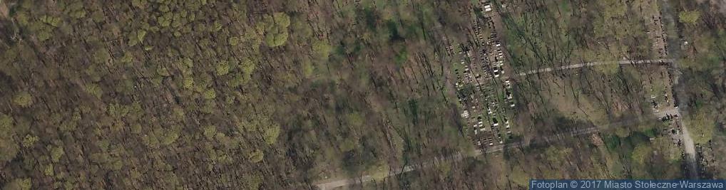 Zdjęcie satelitarne POL Warsaw JCP ofiary holocaustu