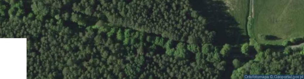 Zdjęcie satelitarne Poland. Gmina Jedwabno. Forests 006