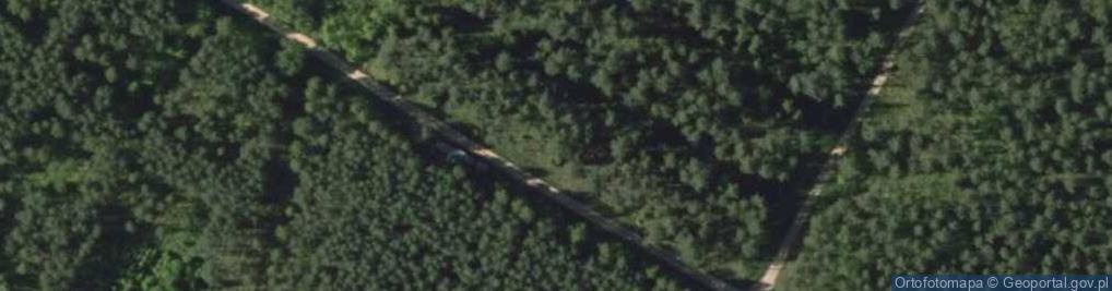 Zdjęcie satelitarne Poland. Gmina Pasym. Forests 001
