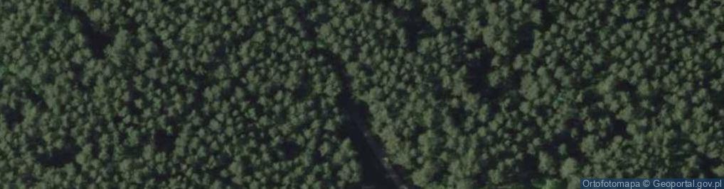Zdjęcie satelitarne Poland. Gmina Pasym. Forests 002