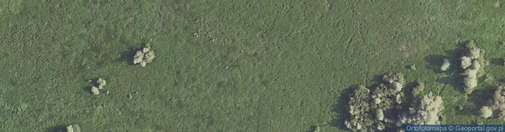 Zdjęcie satelitarne Poland Slonsk - swans in national park