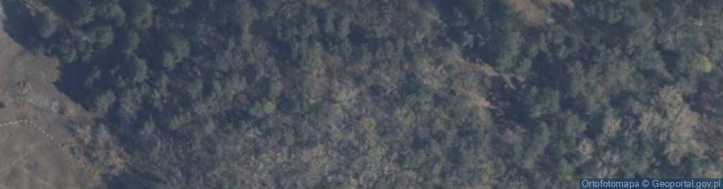 Zdjęcie satelitarne Poland Wolin - Wisielców Hill