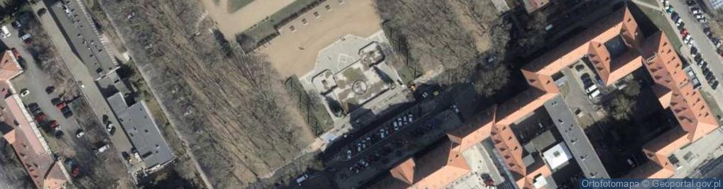 Zdjęcie satelitarne Polish soldier