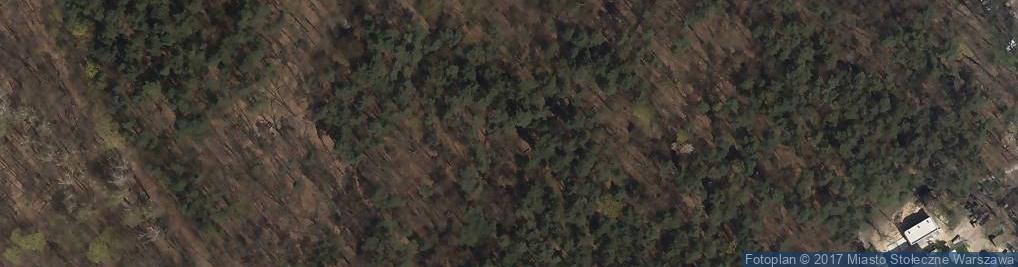 Zdjęcie satelitarne Potok Bielański w Lasku Lindego na wiosnę