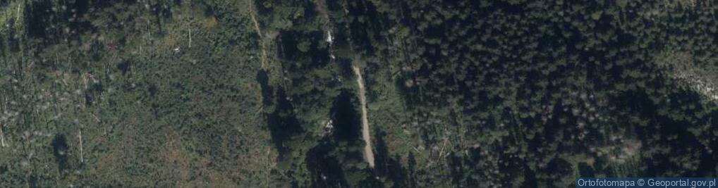 Zdjęcie satelitarne Potok Olczyski