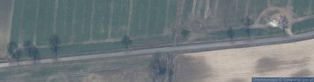 Zdjęcie satelitarne Przebronowane pole