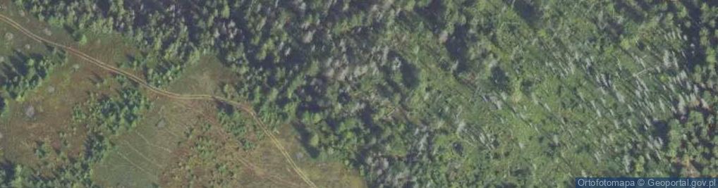 Zdjęcie satelitarne Przysłop w Gorcach a1
