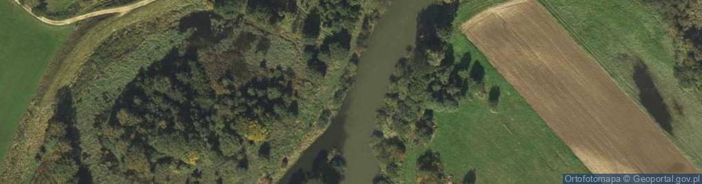 Zdjęcie satelitarne Pszczynka w Jastrzębiu-Zdroju-Szerokiej