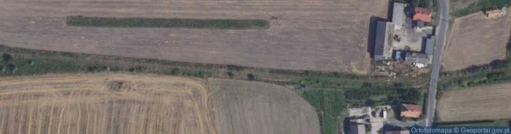 Zdjęcie satelitarne Pucołowo wieś