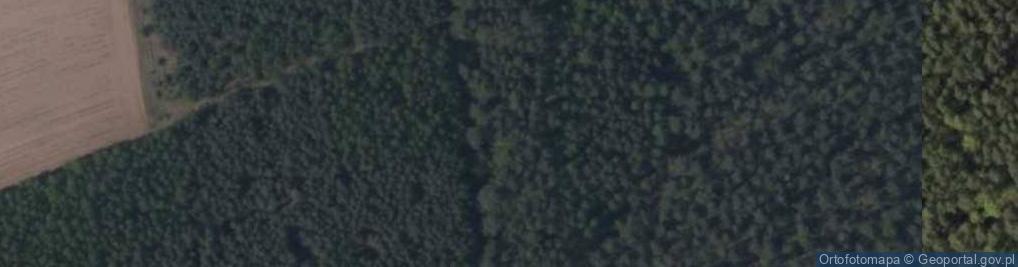Zdjęcie satelitarne Purgałki beax
