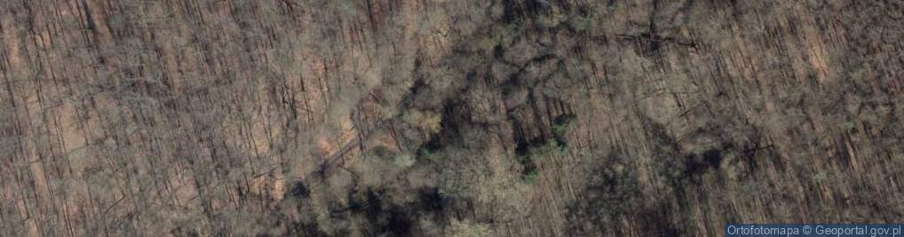 Zdjęcie satelitarne Puszcza Bukowa cmentarz rodziny Jaeckel 3