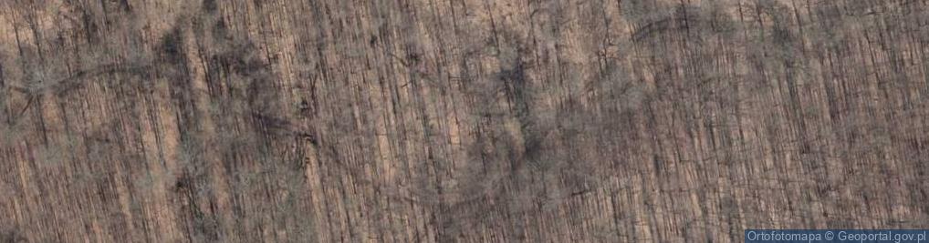 Zdjęcie satelitarne Puszcza Bukowa zima
