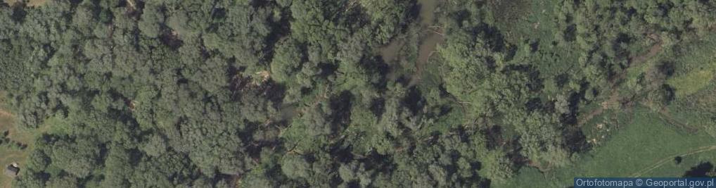 Zdjęcie satelitarne Rezerwat Bobry w Uhercach 01