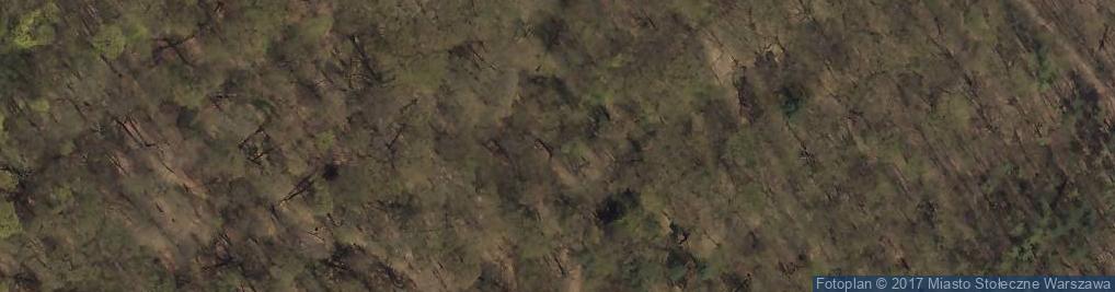 Zdjęcie satelitarne Rezerwat Lasek Bielański 14