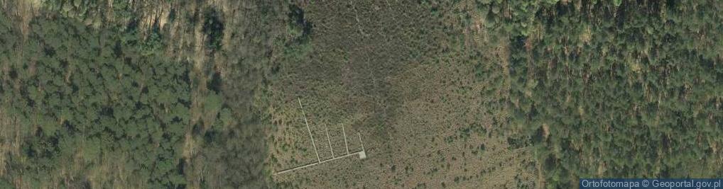 Zdjęcie satelitarne Rezerwat Linje