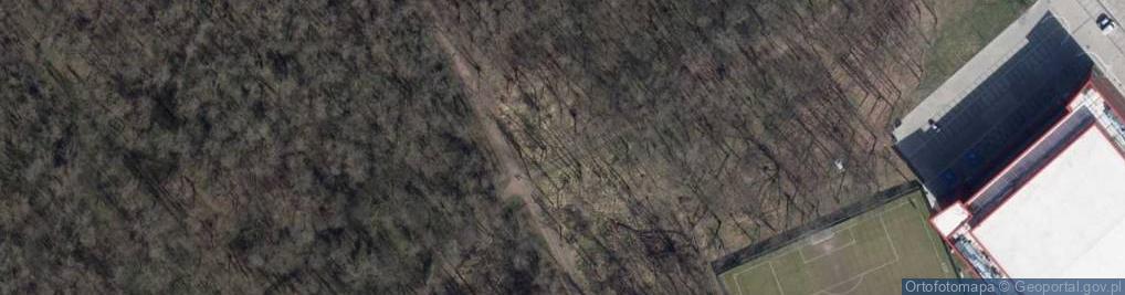 Zdjęcie satelitarne Rezerwat Polesie Konstantynowskie