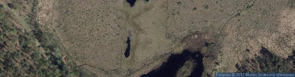 Zdjęcie satelitarne Rezerwat przyrody Bagno Jacka (Wesoła) 1