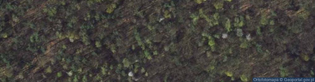 Zdjęcie satelitarne Rezerwat Wąwóz Szaniawskiego 03.05.09 p