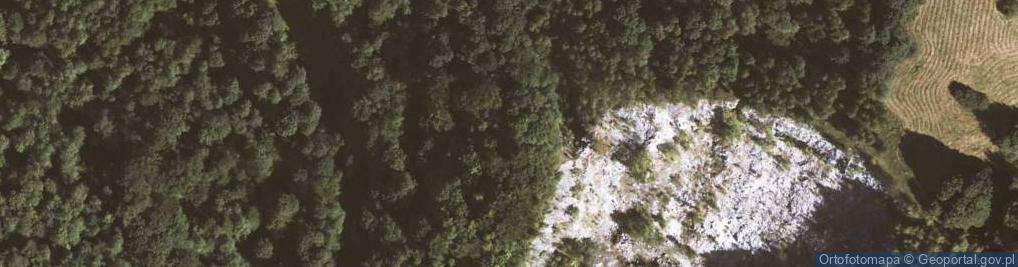 Zdjęcie satelitarne Rogóżka - ruiny kaplicy PL