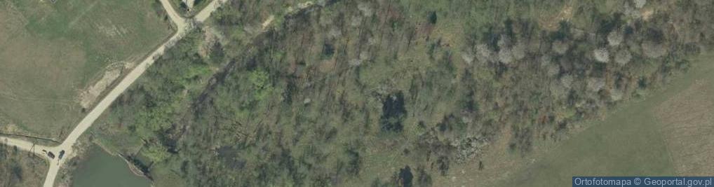 Zdjęcie satelitarne Ropki cmentarz