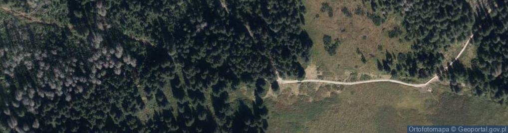 Zdjęcie satelitarne Rowien Waksmundzka, Tatry Bielskie