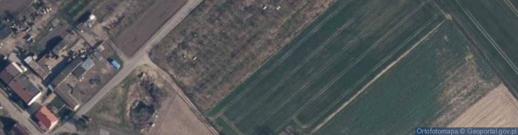 Zdjęcie satelitarne Rowno (gmina Barlinek) zbor