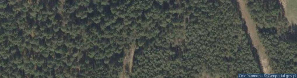 Zdjęcie satelitarne RTCN Krynice - Maszt oryginalny - Kotwiczenia