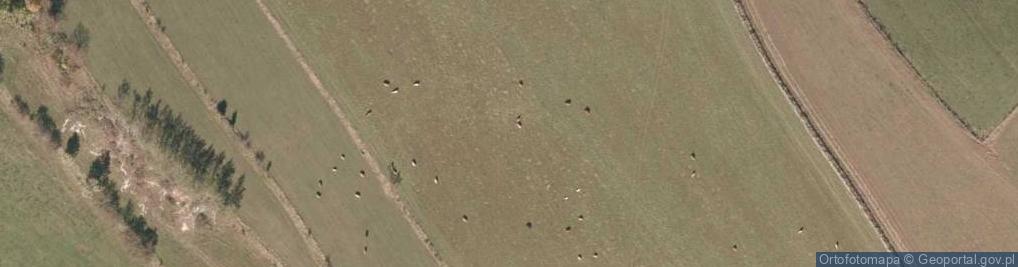 Zdjęcie satelitarne Rybnica Leśna Kościół