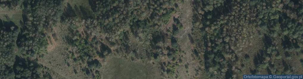 Zdjęcie satelitarne Rzeka Szum-zapora