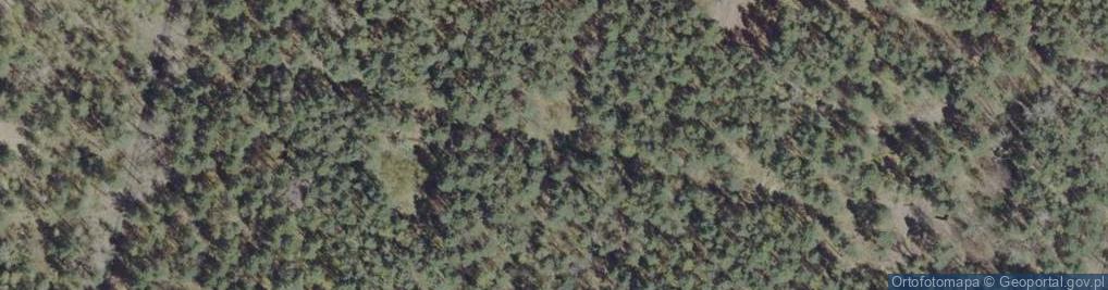 Zdjęcie satelitarne Sagan camp-1