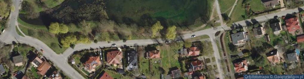 Zdjęcie satelitarne Salix Gdańsk